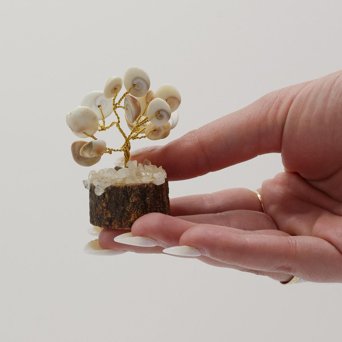 Small Gomati Chakra Stone Tree, Set of 3