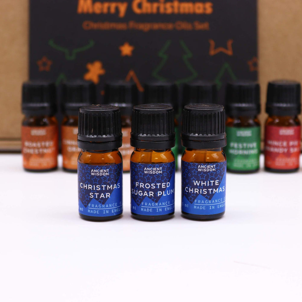 Festive Delights Fragrance Oil Set of 12 – view 4