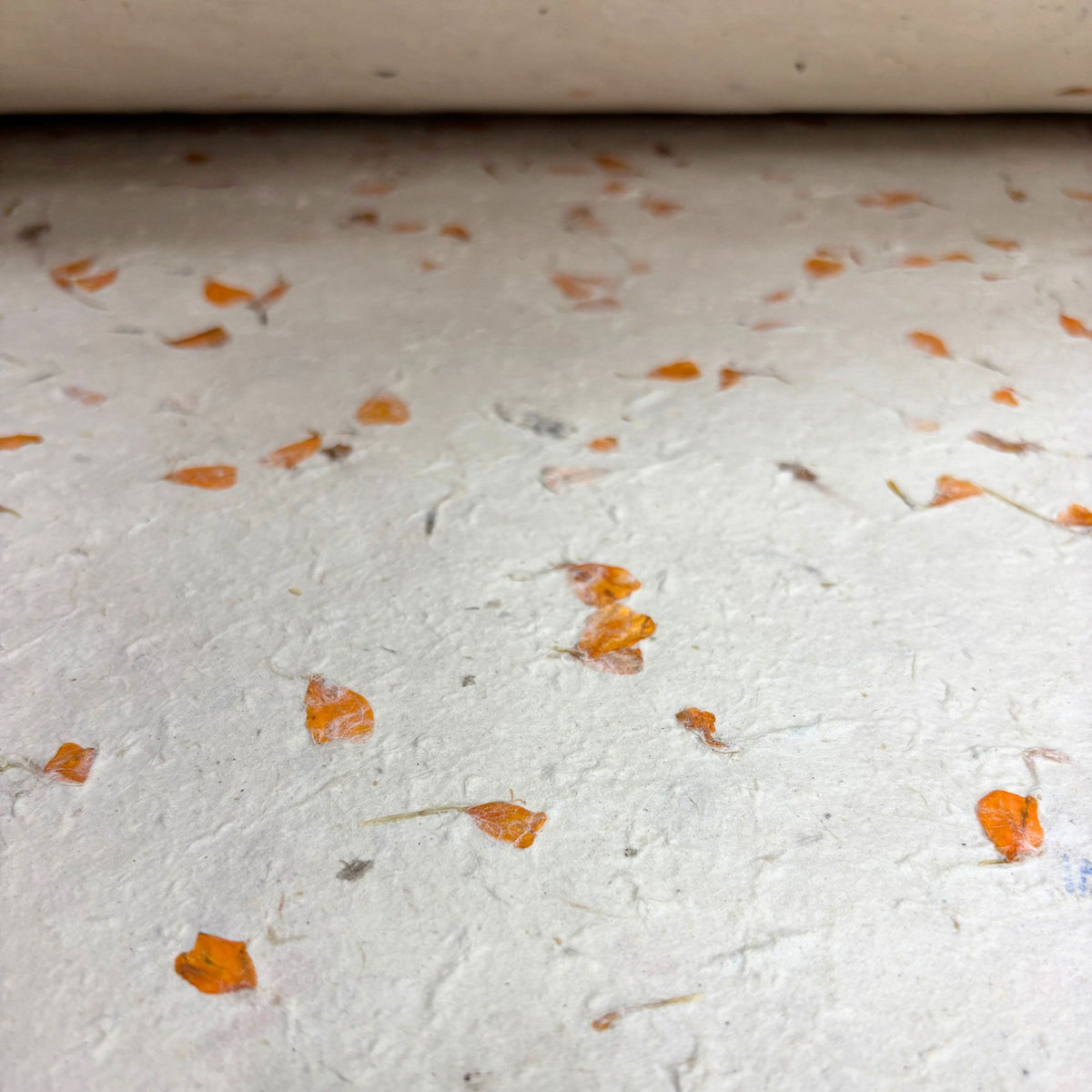 Lokta Wrapping Paper 51x76cm, Marigold, Pack of 5 – view 6