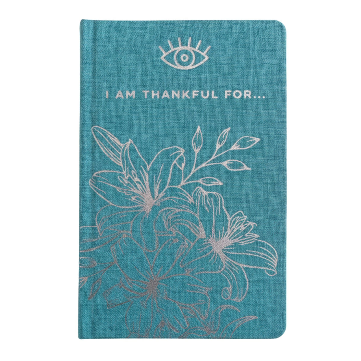 Blue Gratitude Journal with Silver Lining, 120 Pages – view 3