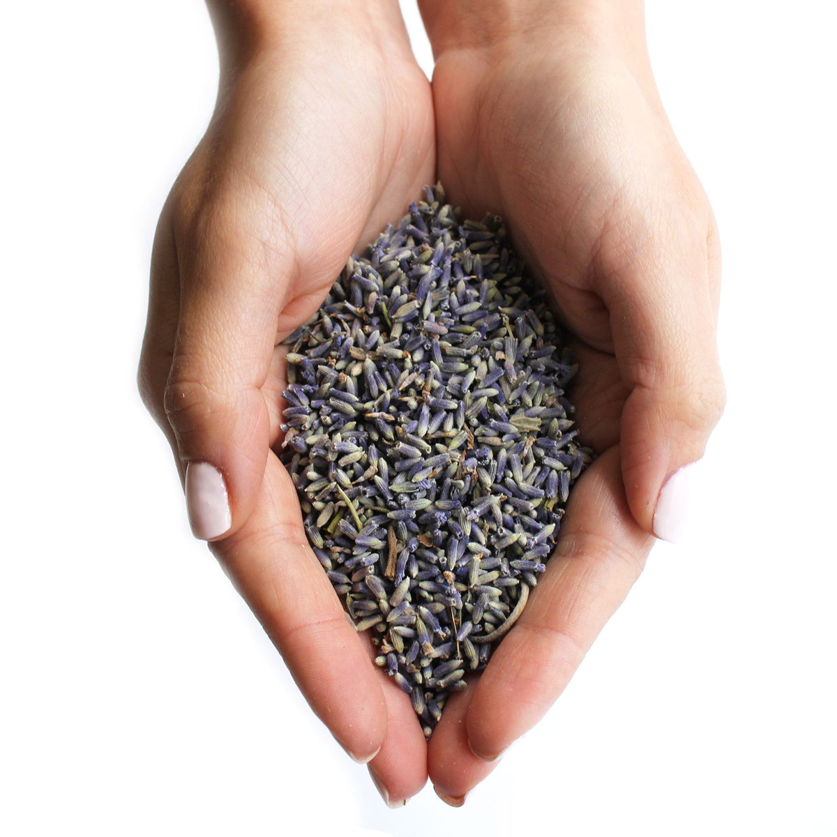 Lavender Flowers Dried Botanical 1kg Pack – view 4
