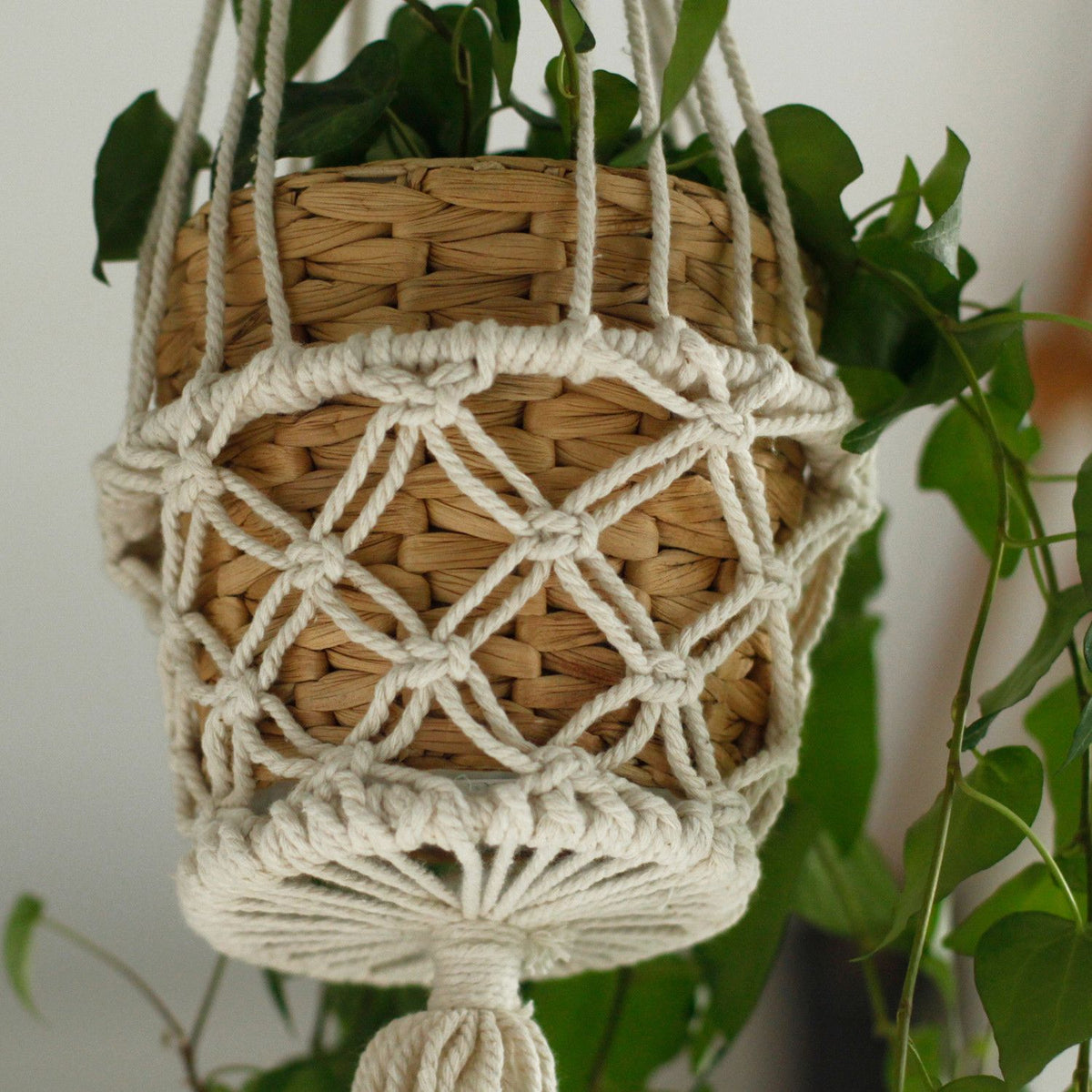 Small Macrame Plant Hanger, 75cm