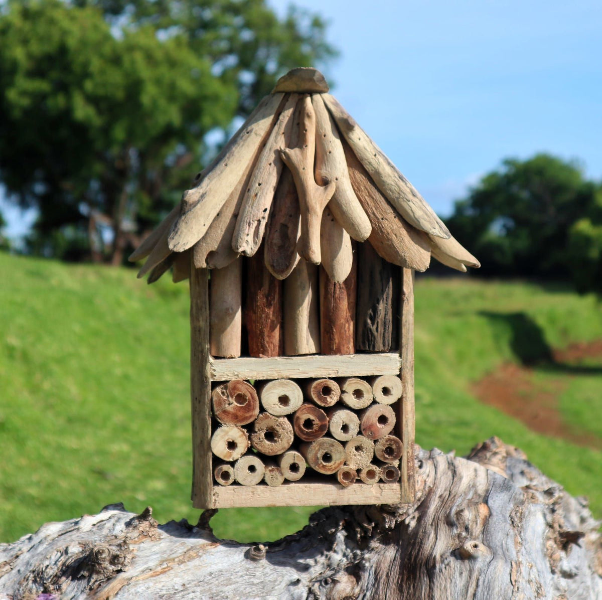 Recycled Driftwood Double Bee and Insect House – view 3