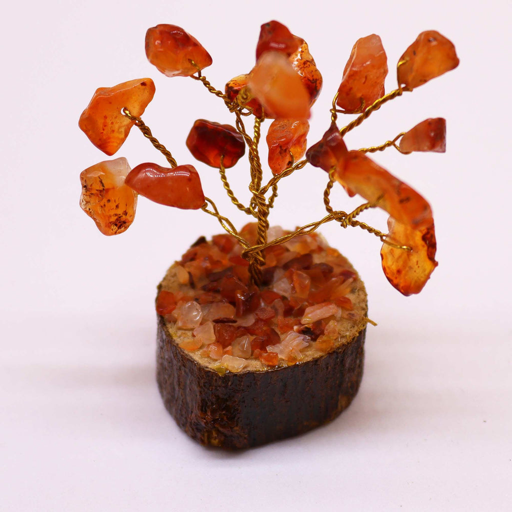 Carnelian Mini Gemstone Tree on Wood Base, 15 Stones – view 2