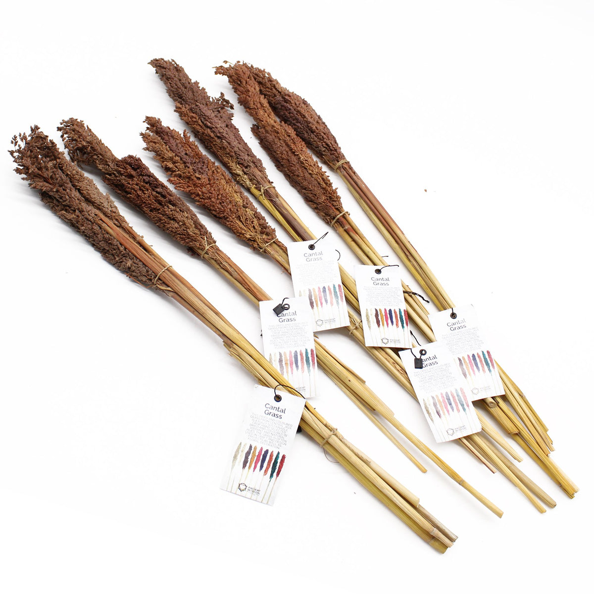 Cantal Grass Bunch - Chocolate (Set of 6) – view 4