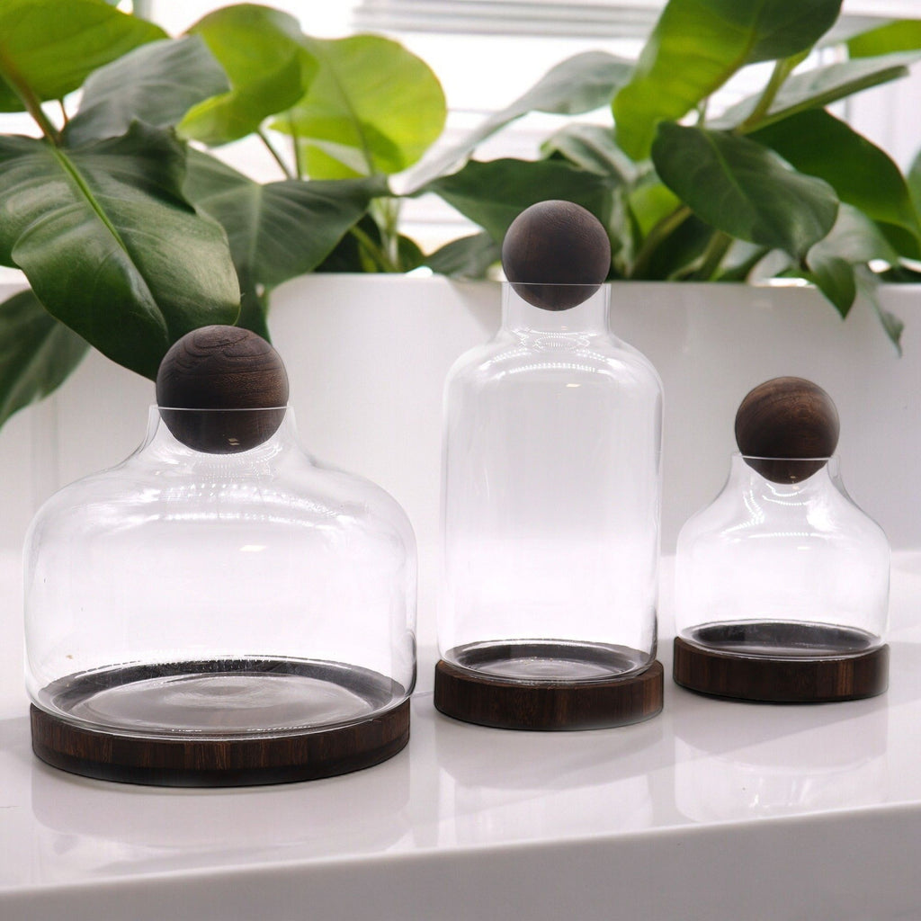 Medium Ball Top Terrarium, Dark Tung Wood, 17x22cm – view 2