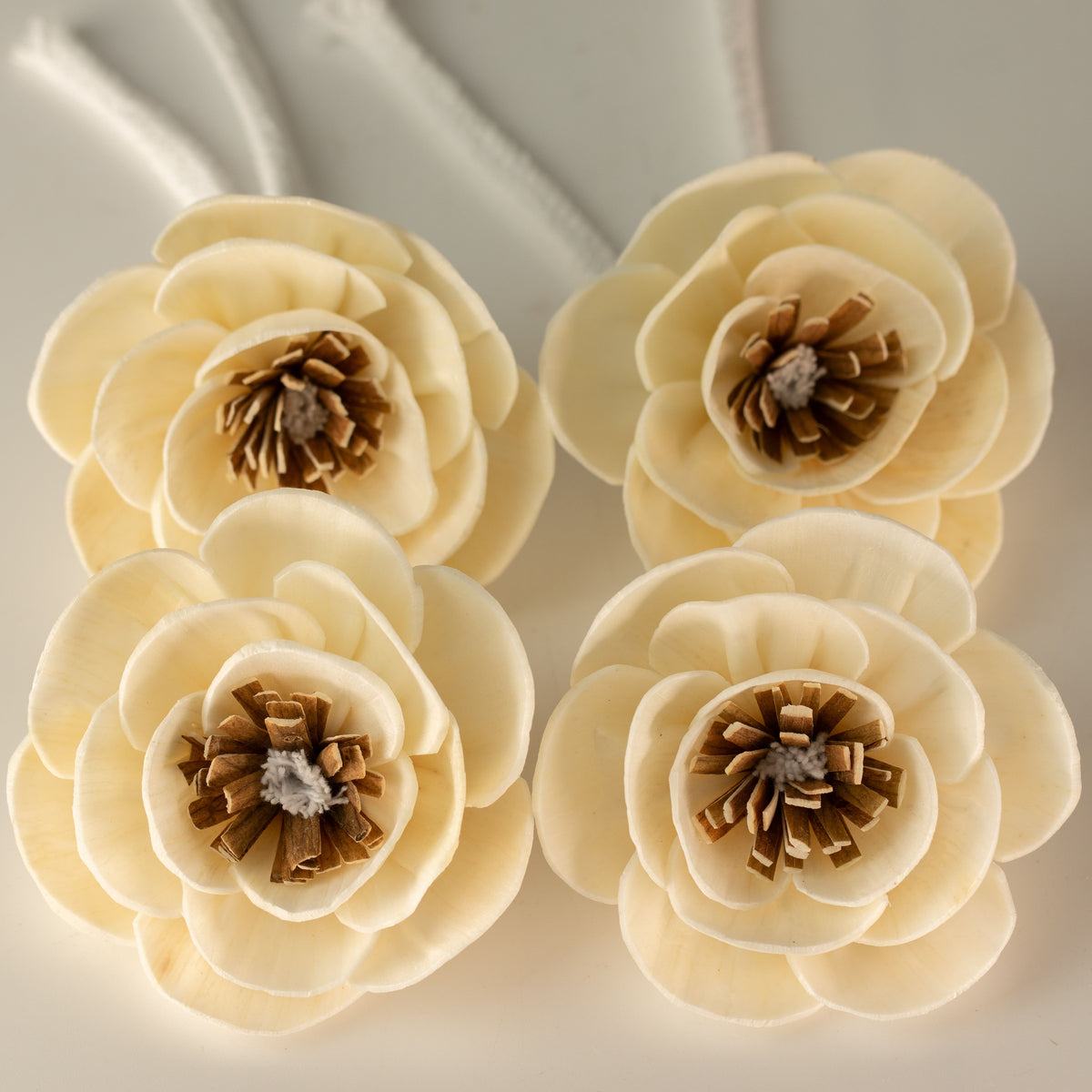 Sola Wood Poppy Diffuser Flowers on String, Small, Set of 4