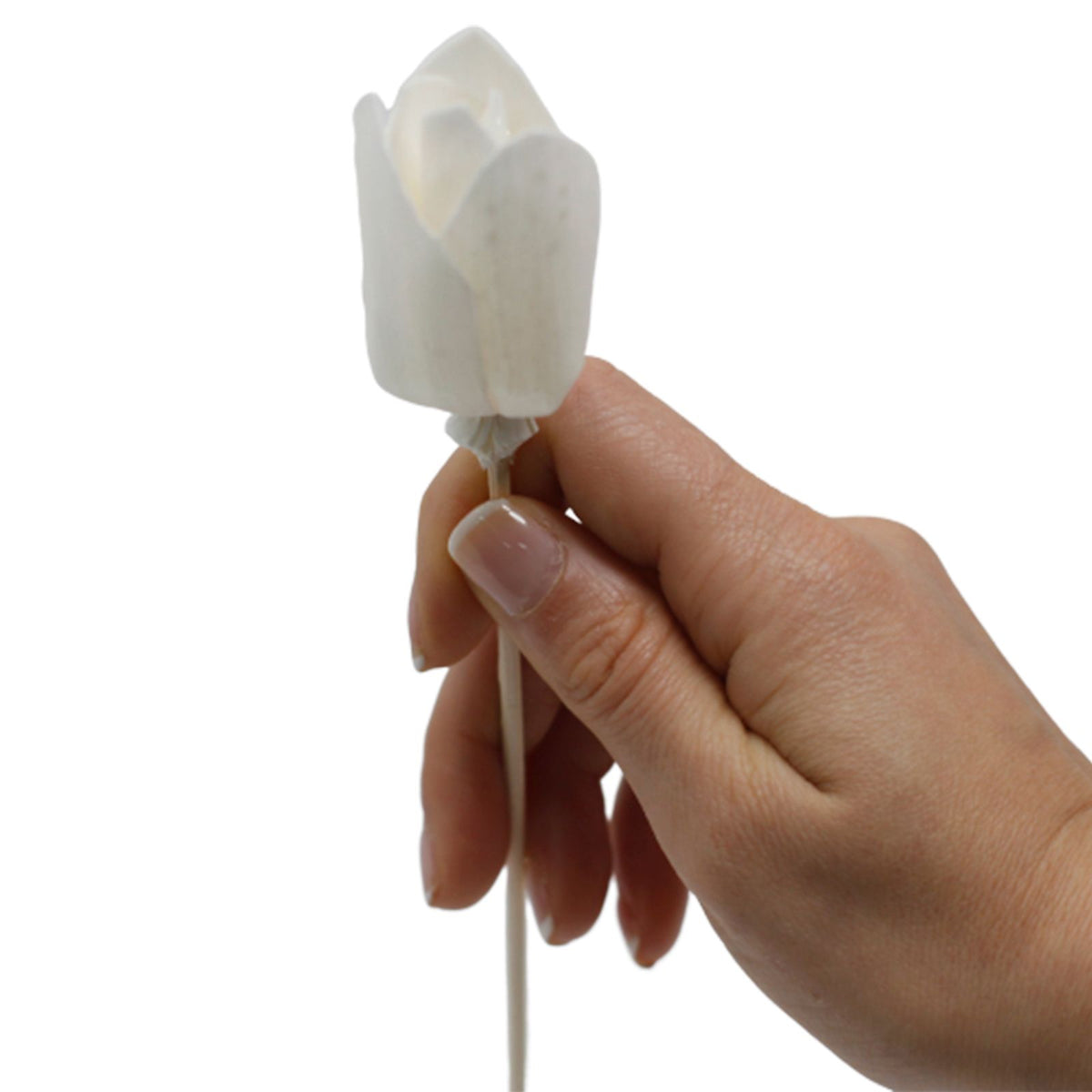 Sola Wood Tulip Diffuser Reeds, Set of 4 – view 2
