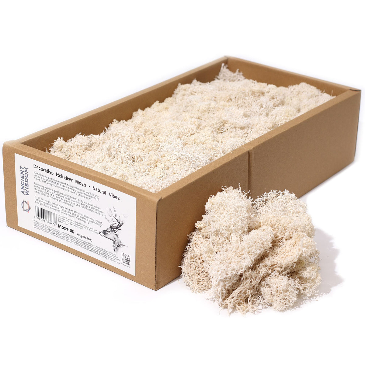 Preserved Reindeer Moss - Natural Vibes - 635 g Box