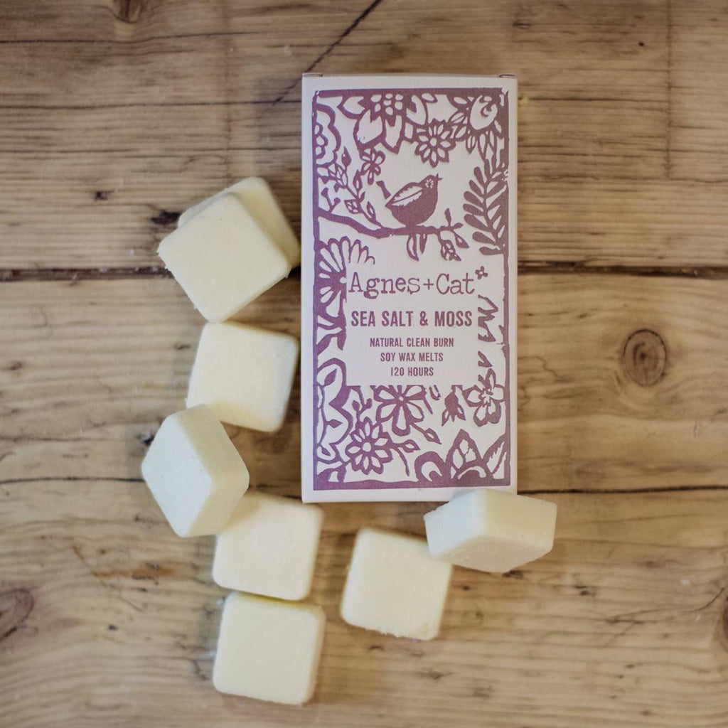Agnes + Cat Seasalt + Moss Soy Wax Melts, Box of 8 – view 3