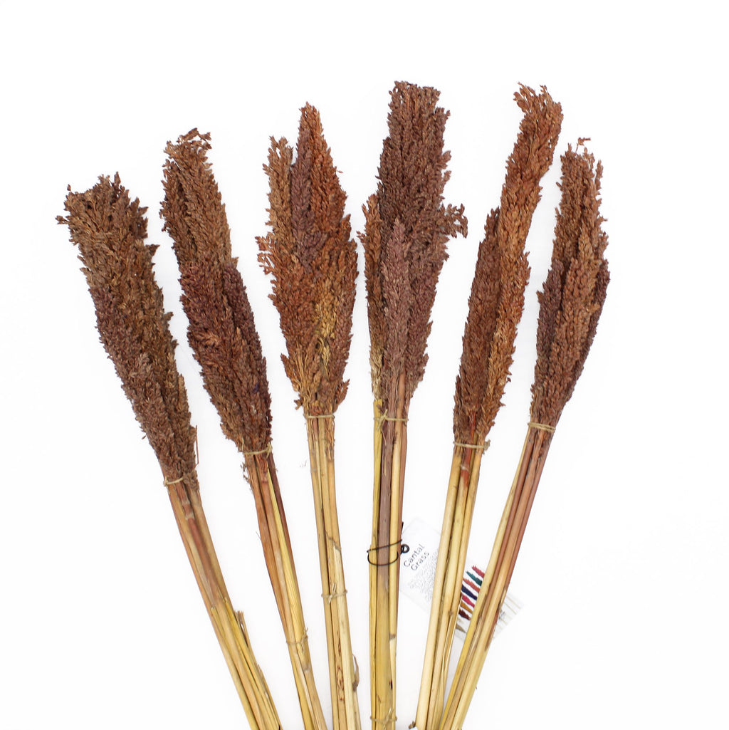 Cantal Grass Bunch - Chocolate (Set of 6) – view 3