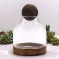 Medium Ball Top Terrarium, Dark Tung Wood, 17x22cm