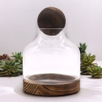 Medium Ball Top Terrarium, Dark Tung Wood, 17x22cm