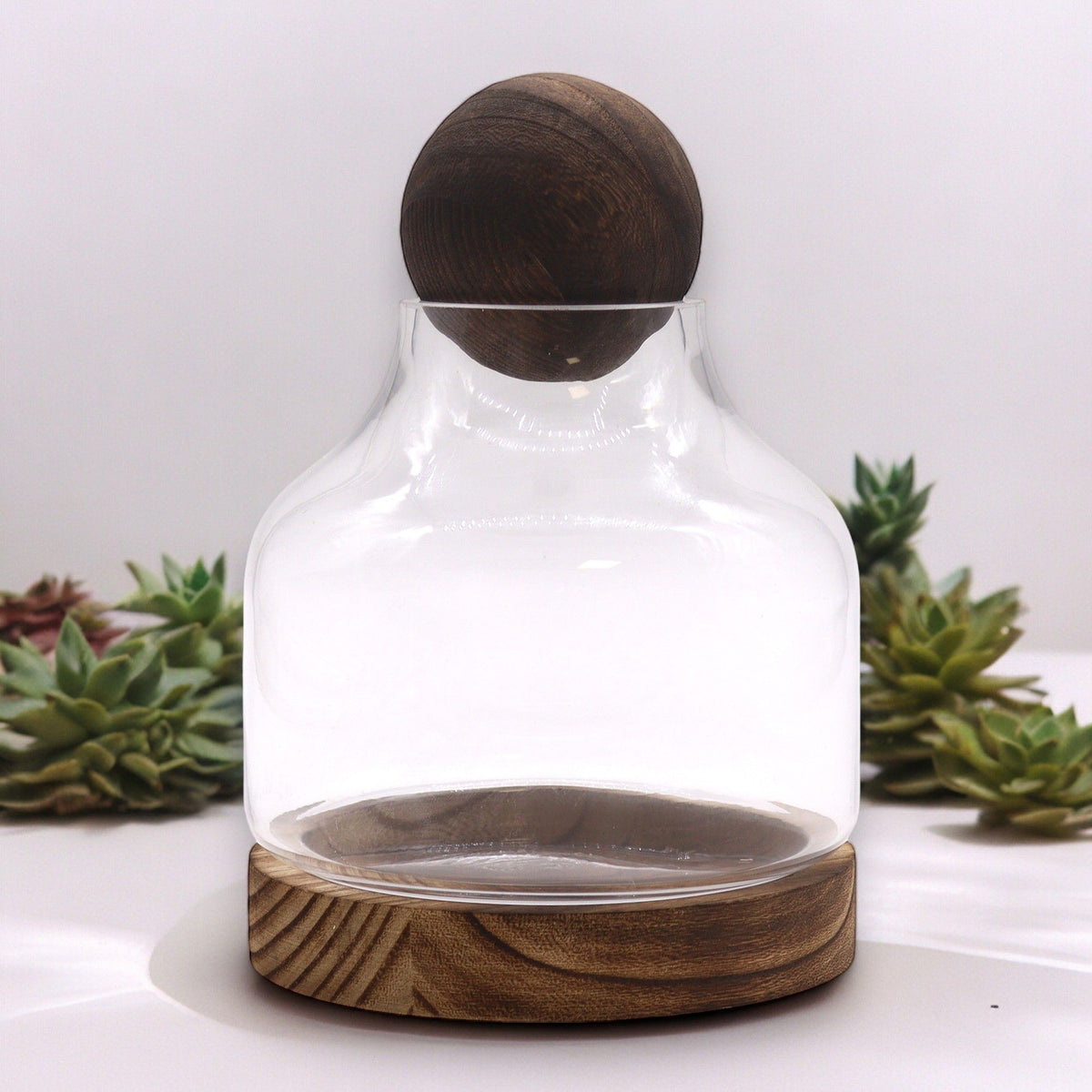 Medium Ball Top Terrarium, Dark Tung Wood, 17x22cm