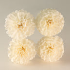 Sola Wood Carnation Diffuser Reeds, Set of 4 – view 3
