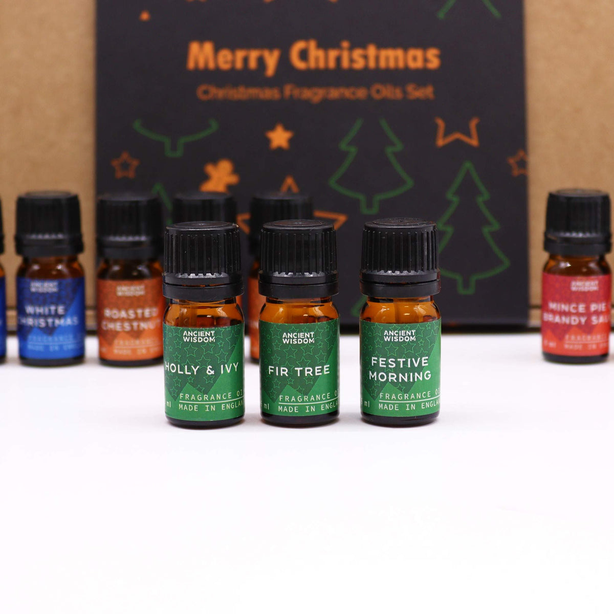 Festive Delights Fragrance Oil Set of 12 – view 8