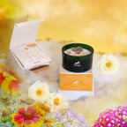 Hop Hare Crystal Magic Candle - The Lion, Rock Quartz – view 3