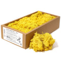 Preserved Reindeer Moss - Yellow - 635 g Box