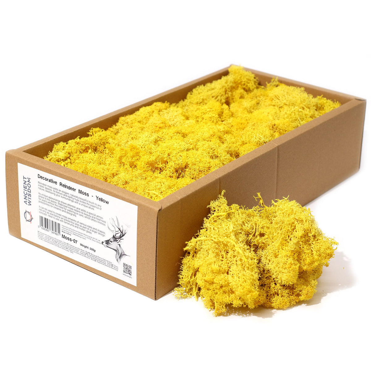 Preserved Reindeer Moss - Yellow - 635 g Box