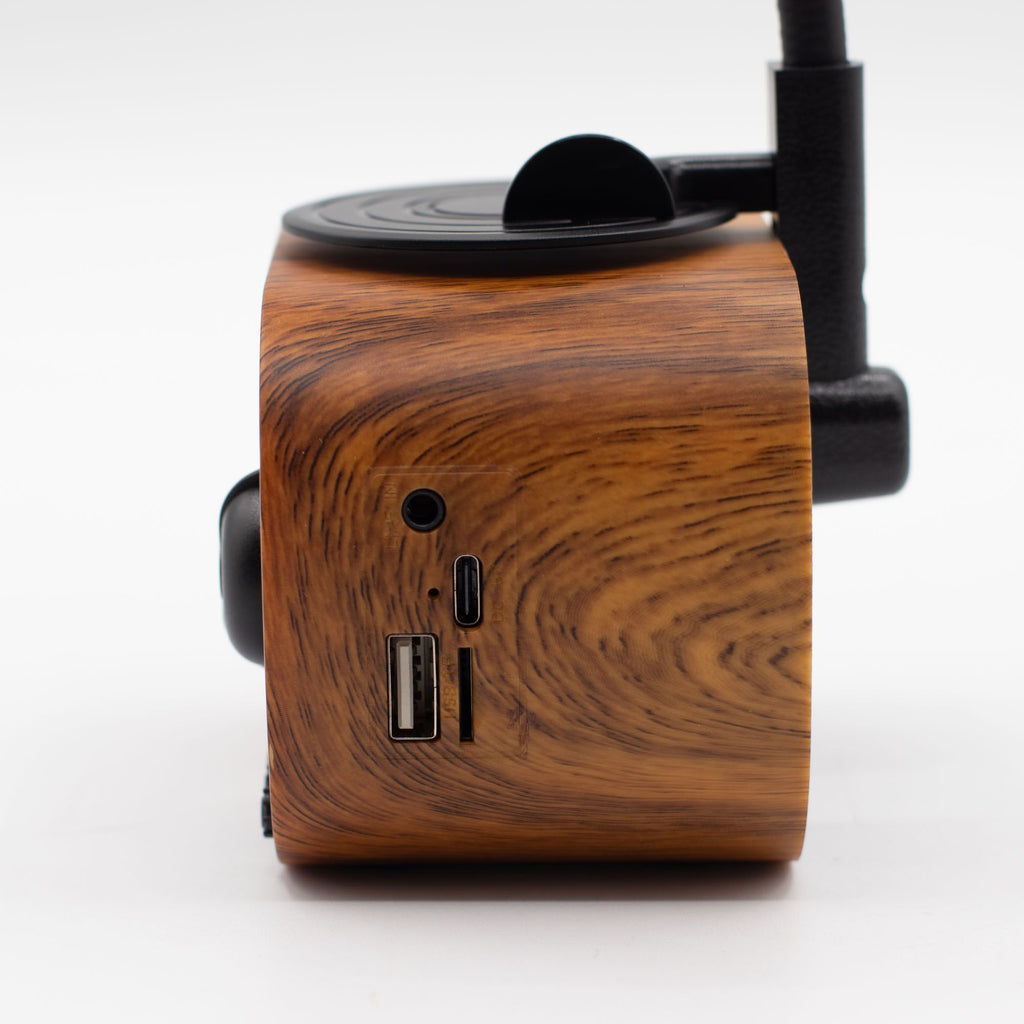 Retro Gramophone Bluetooth Speaker & FM Radio – view 2