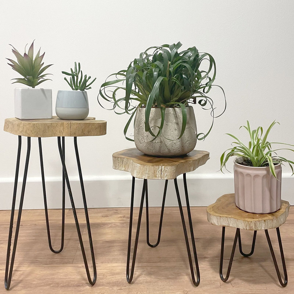 Set of 3 Gamal Wood Plant Stands - Whitewash – view 9
