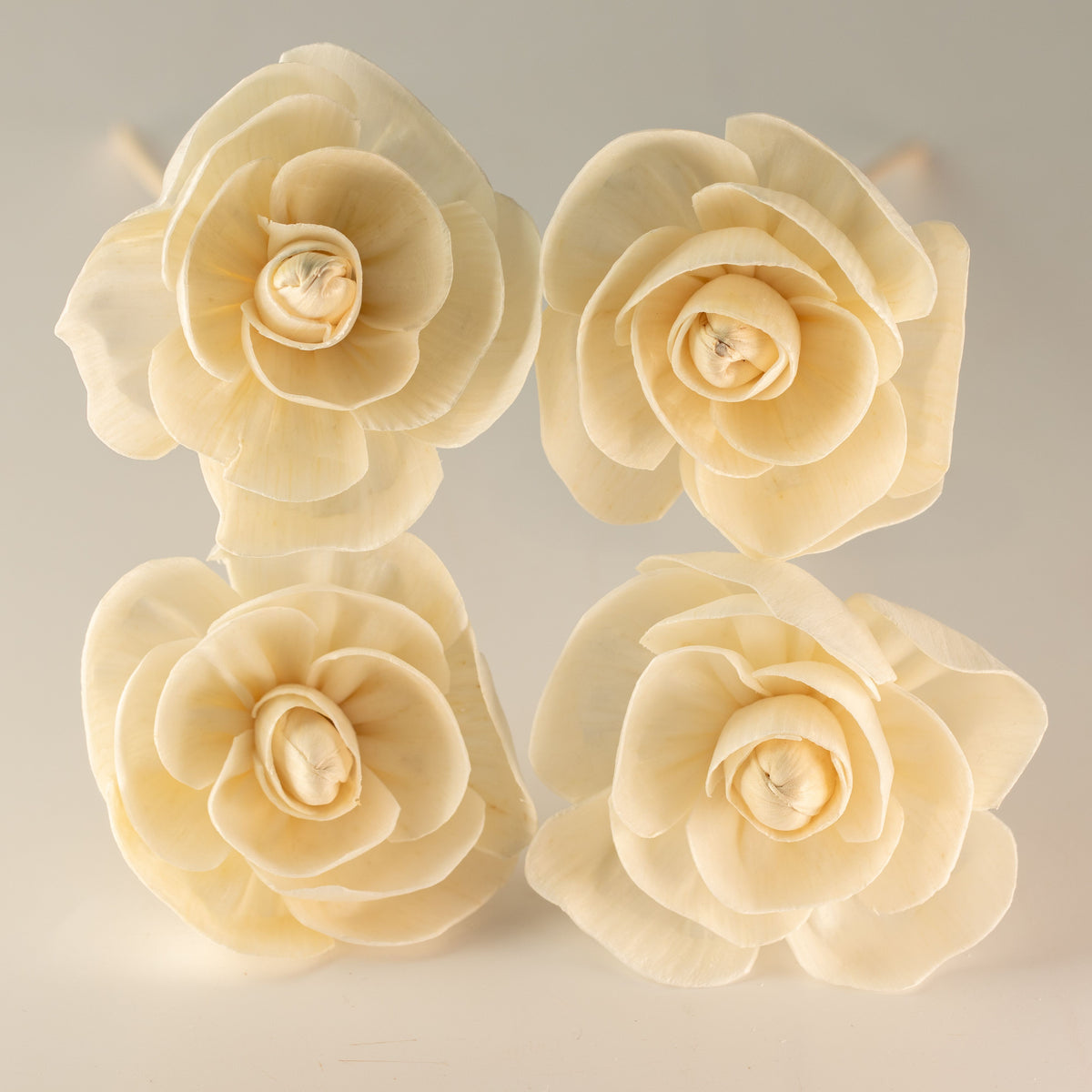 Sola Wood Rose Diffuser Reeds, Set of 4 – view 7