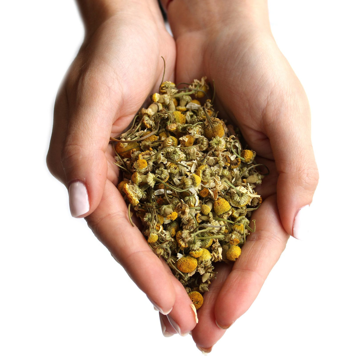 Chamomile Heads Dried Botanical 1kg Pack – view 2