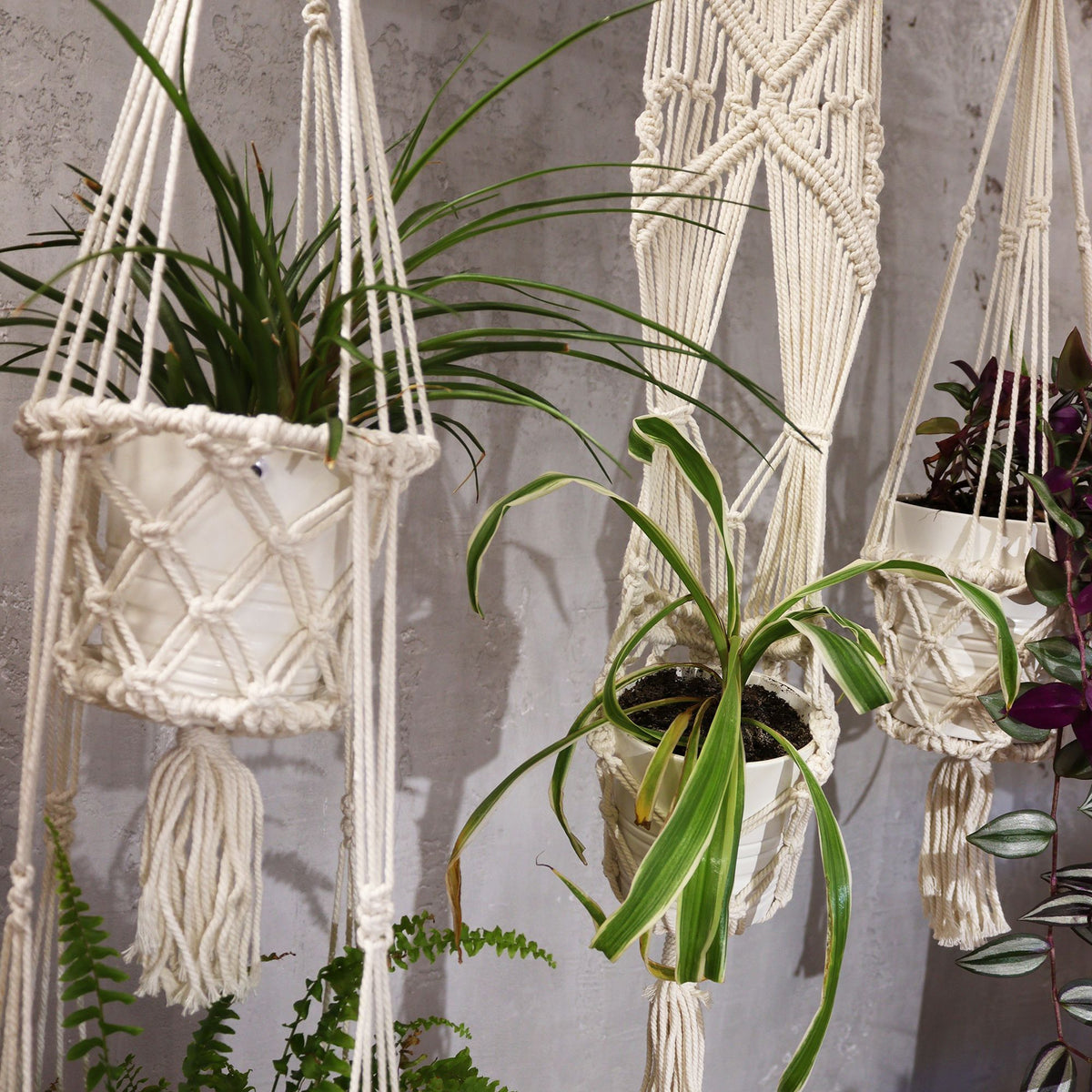 Macrame Plant Hanger with Rattan Hoop, 100cm – view 6
