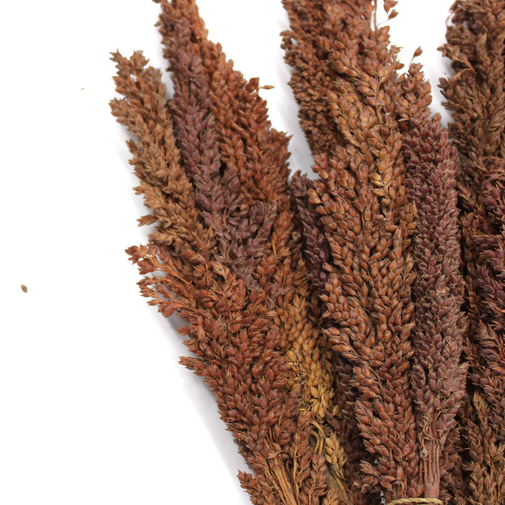 Cantal Grass Bunch - Chocolate (Set of 6)