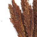 Cantal Grass Bunch - Chocolate (Set of 6)