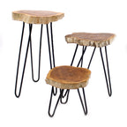 Set of 3 Gamal Wood Plant Stands - Whitewash – view 6
