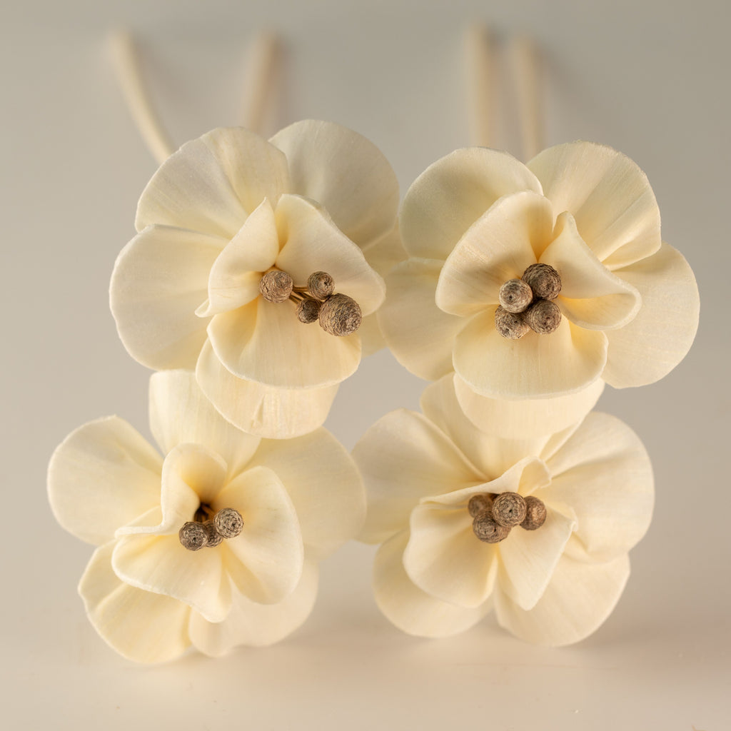Sola Wood Lily Diffuser Reeds, Set of 4 – view 7