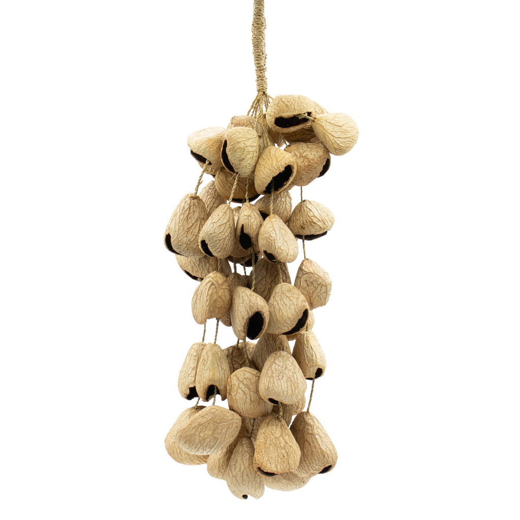 Large Pangi Seed Shell Shaker - String of 50 Natural Shells – view 6