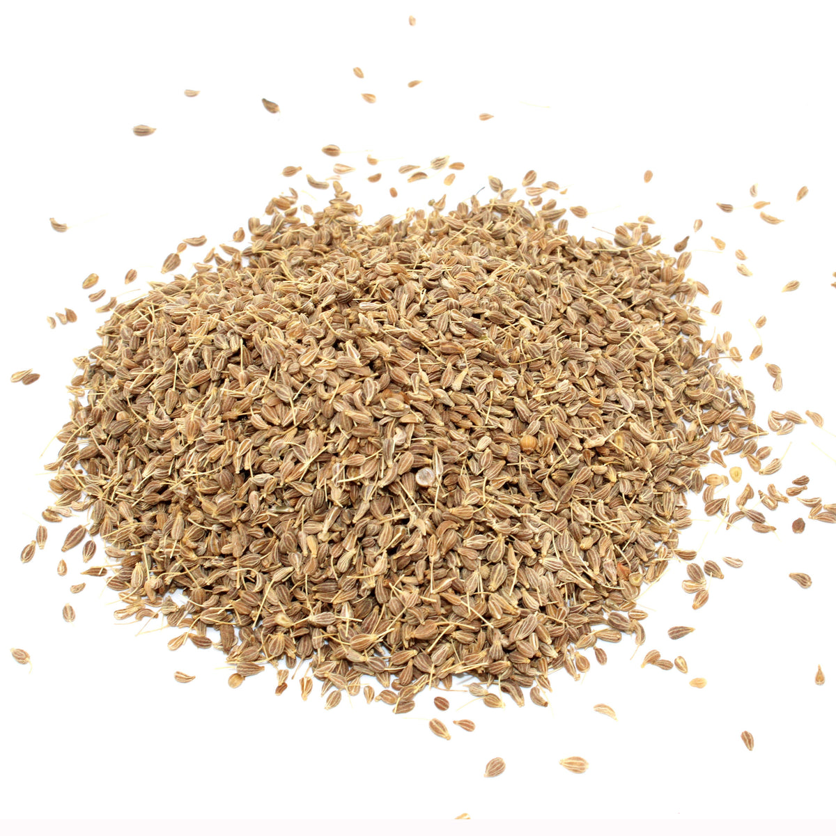 Anise Grain Botanical 1kg Bulk Pack