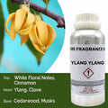 Ylang-Ylang Pure Fragrance Oil - 500ml