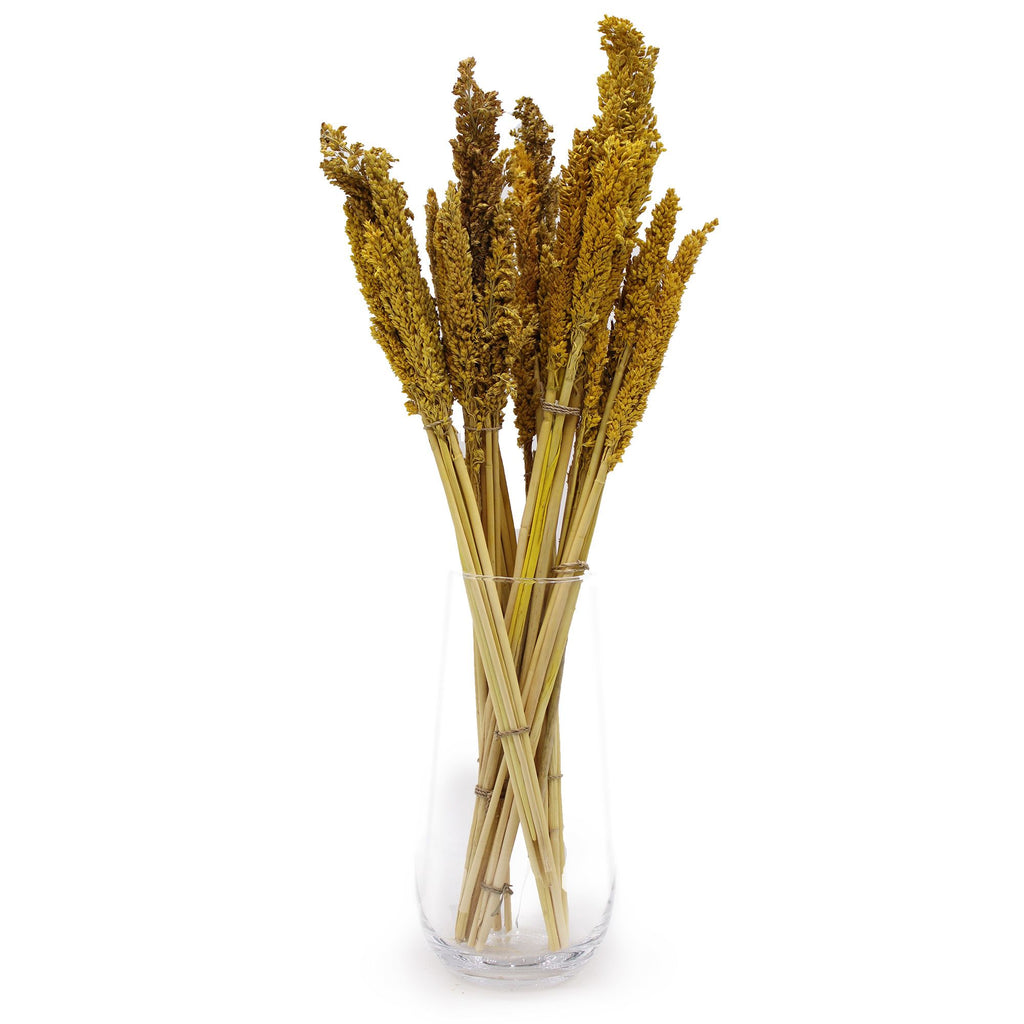 Cantal Grass Bunch - Amber (Set of 6) – view 3