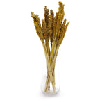 Cantal Grass Bunch - Amber (Set of 6) – view 3
