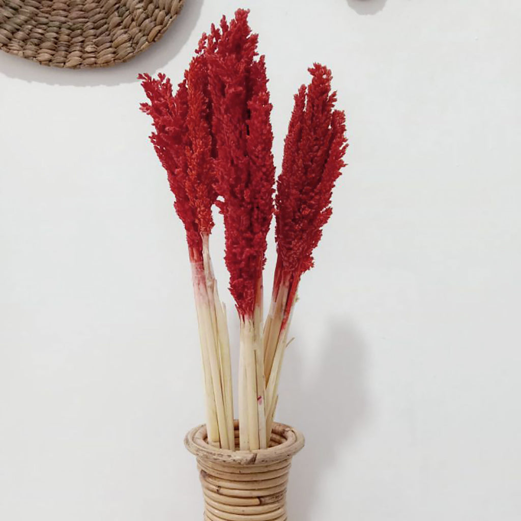 Cantal Grass Bunch - Fire (Set of 6)