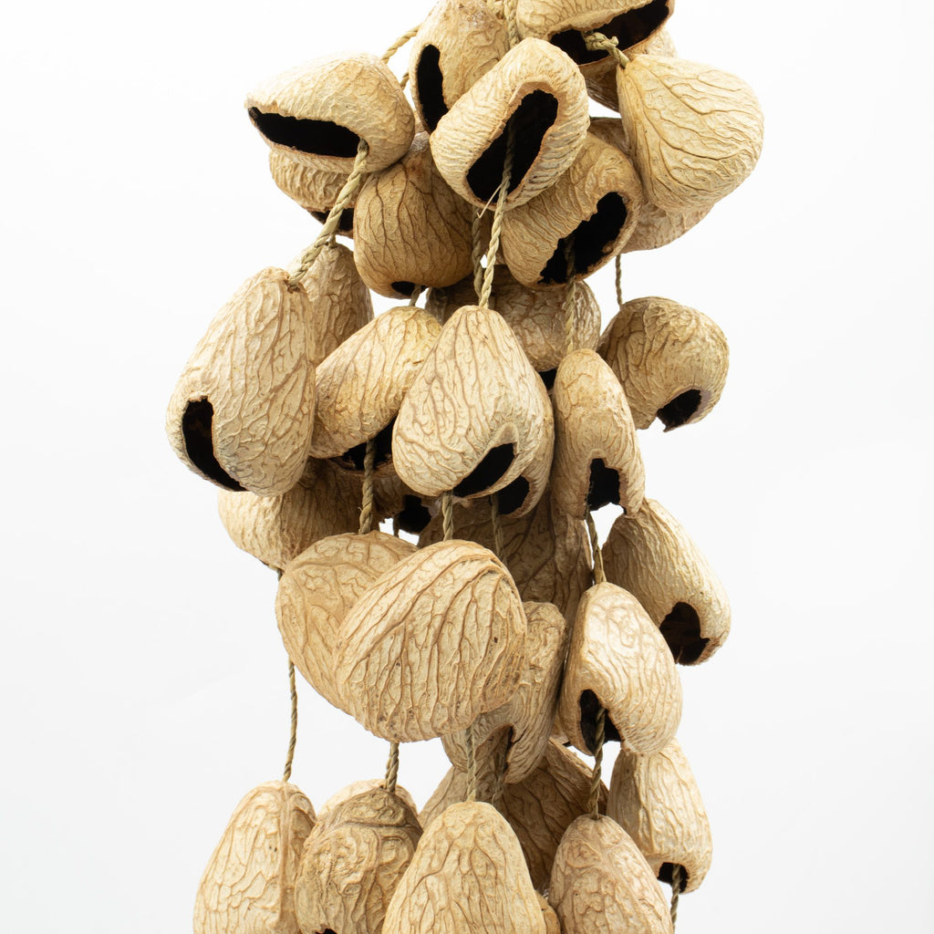Large Pangi Seed Shell Shaker - String of 50 Natural Shells – view 2