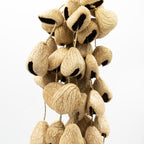 Large Pangi Seed Shell Shaker - String of 50 Natural Shells – view 2