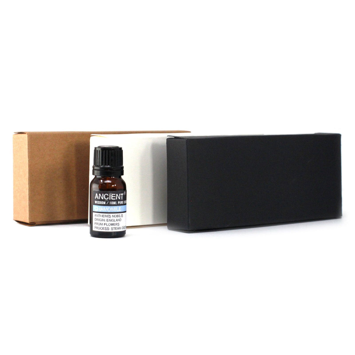 Brown Kraft Box for Six 10ml Essential Oil Bottles – view 3