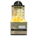 Heart Guest Soaps - Grapefruit - Pack of 10