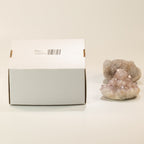 Medium Assorted Amethyst Geodes - 6-9 cm - 2-3 Pieces – view 2