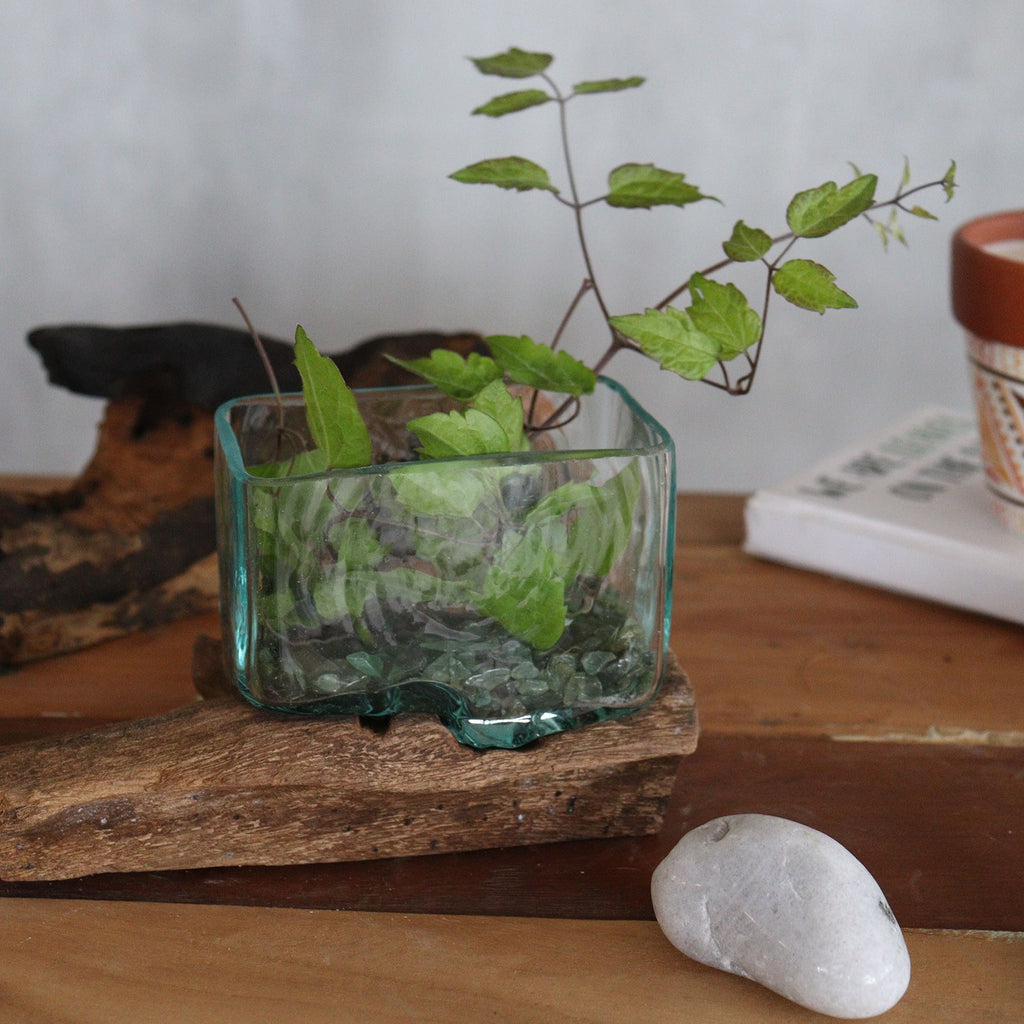Small Molten Glass Bowl on Wood with Stand – view 5