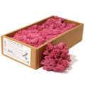 Preserved Reindeer Moss - Pink - 635 g Box