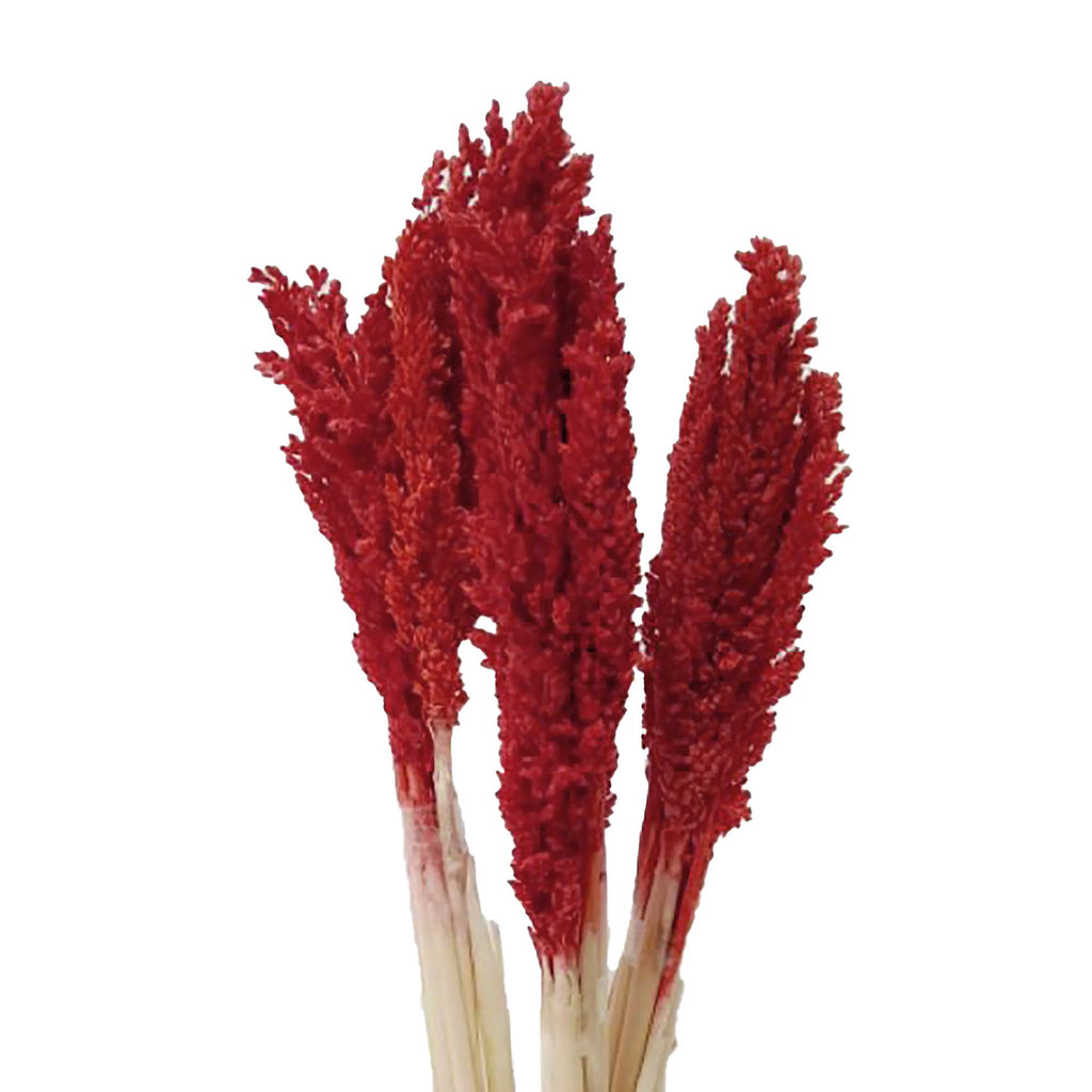 Cantal Grass Bunch - Fire (Set of 6) – view 2