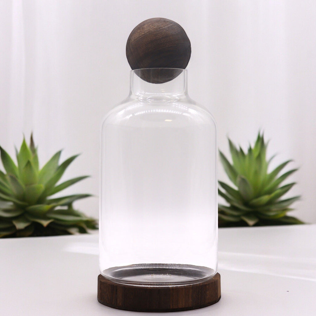 Large Ball Top Terrarium, Dark Tung Wood, 16x32cm – view 3
