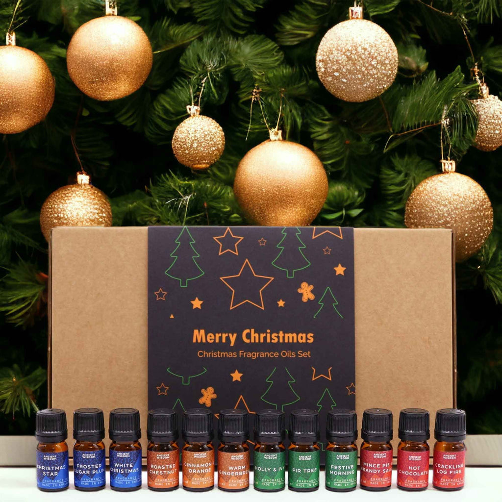 Festive Delights Fragrance Oil Set of 12