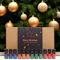 Festive Delights Fragrance Oil Set of 12