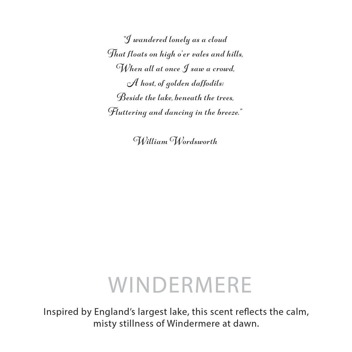 Agnes + Cat Botanical Soy Wax Candle - Windermere – view 10